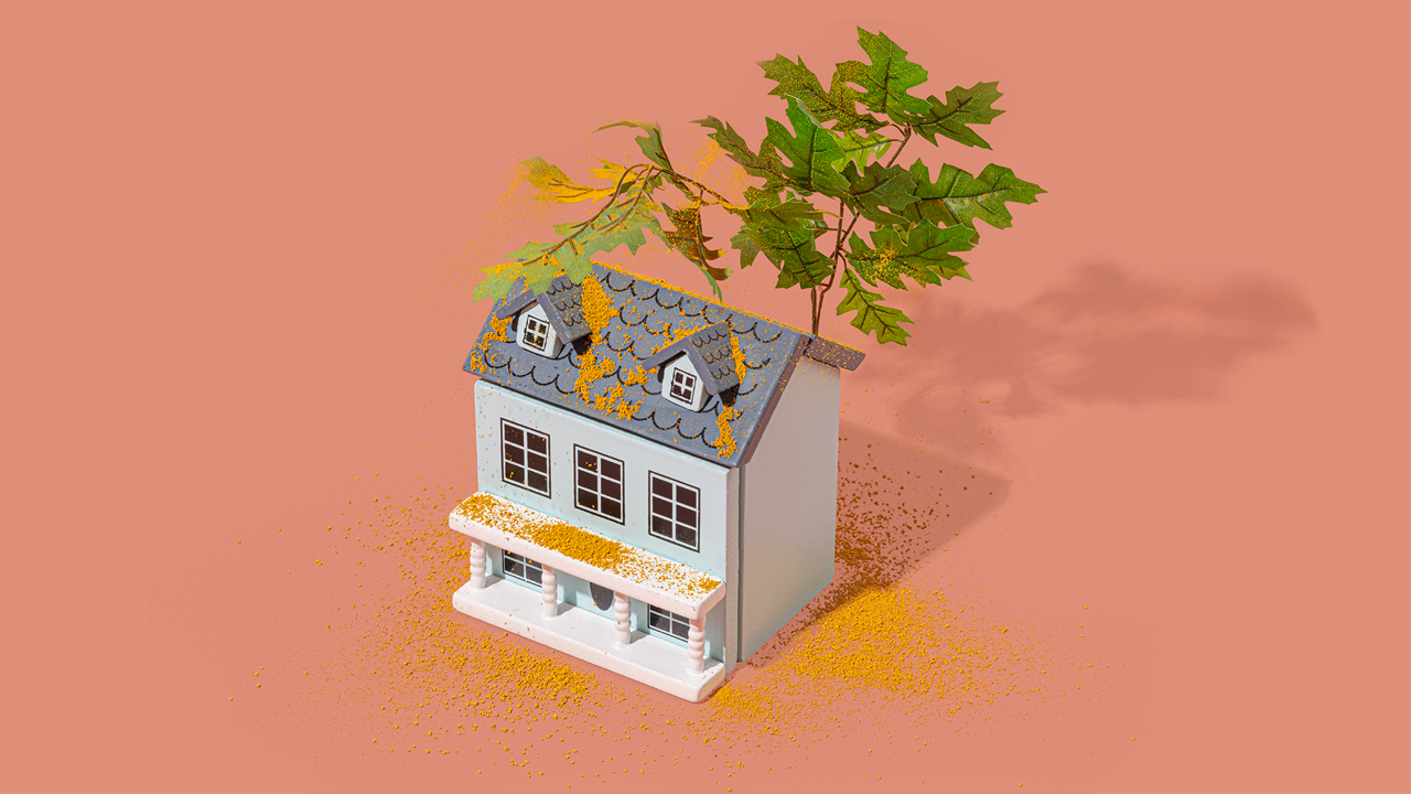 A model two story home with a tree behind it that is releasing yellow pollen all over the house. Is tree pollen in your region causing your allergies? 