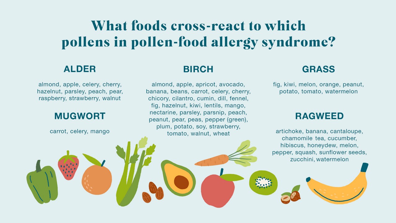 What foods cross-react to which pollens in Oral Allergy Syndrome? Pollens listed: Alder, birch, grass, ragweed, mugwort. 
