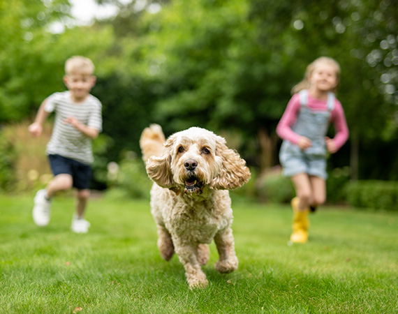 children running with dog