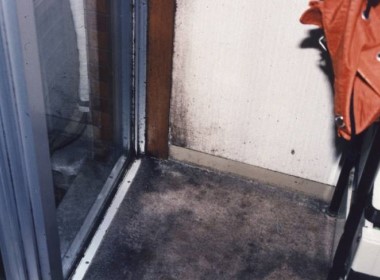 アレルゲンクロカビの写真