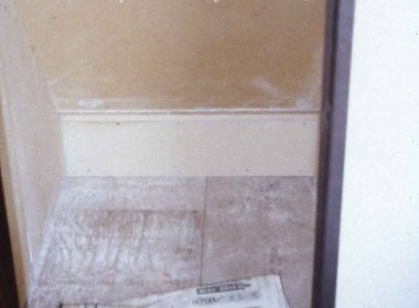 アレルゲンアオカビの写真