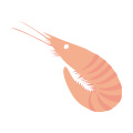 アレルゲンえびのイラスト