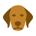 アレルゲン犬のイラスト