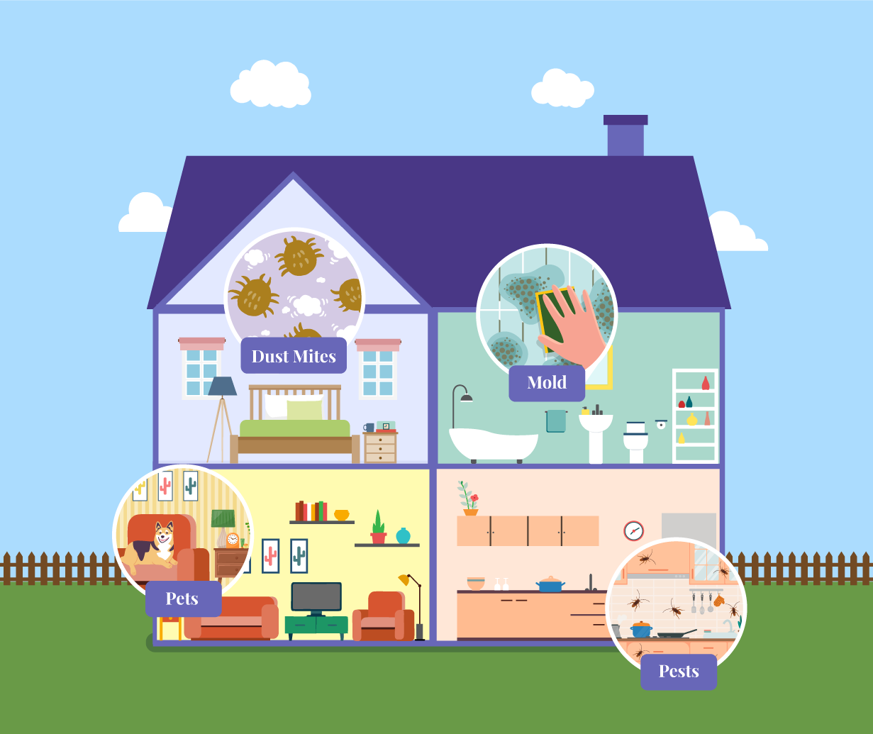 common indoor allergens - pet dander (dog and cat), mold, pests like cockroaches and dust mites.