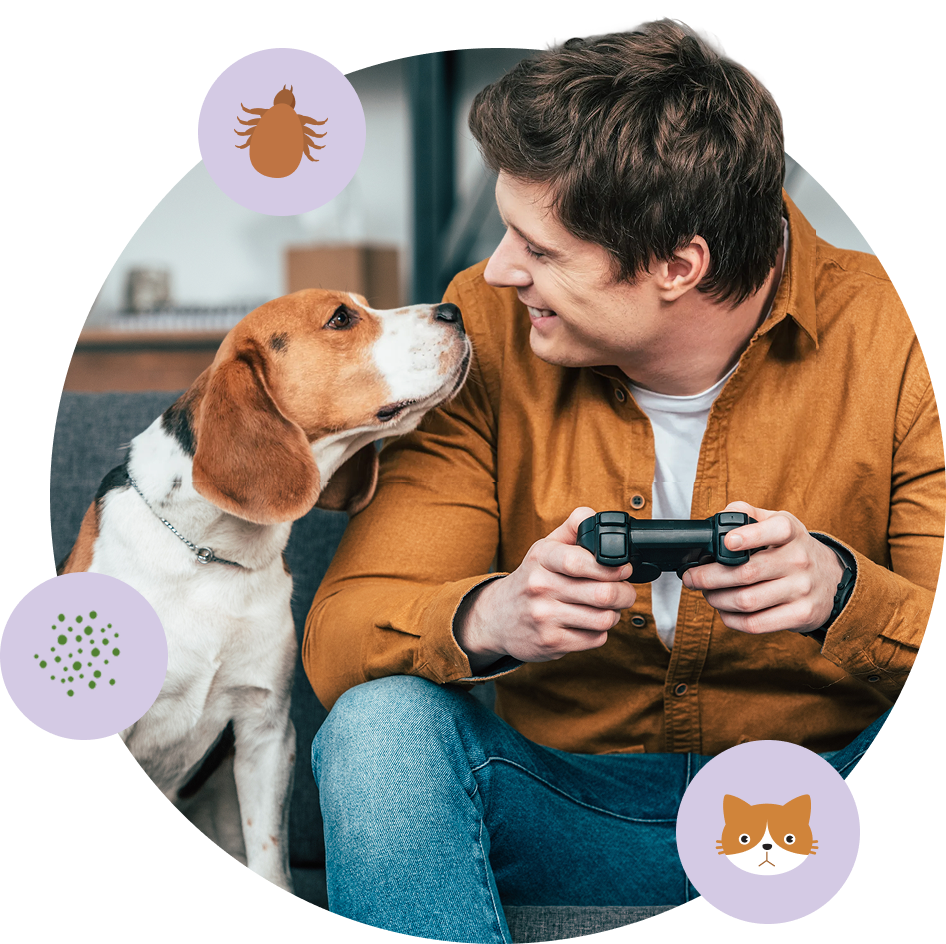 Man and his beagle dog sitting inside surrounded by other indoor allergens like cats, dust mites, and mold  | Indoor allergies