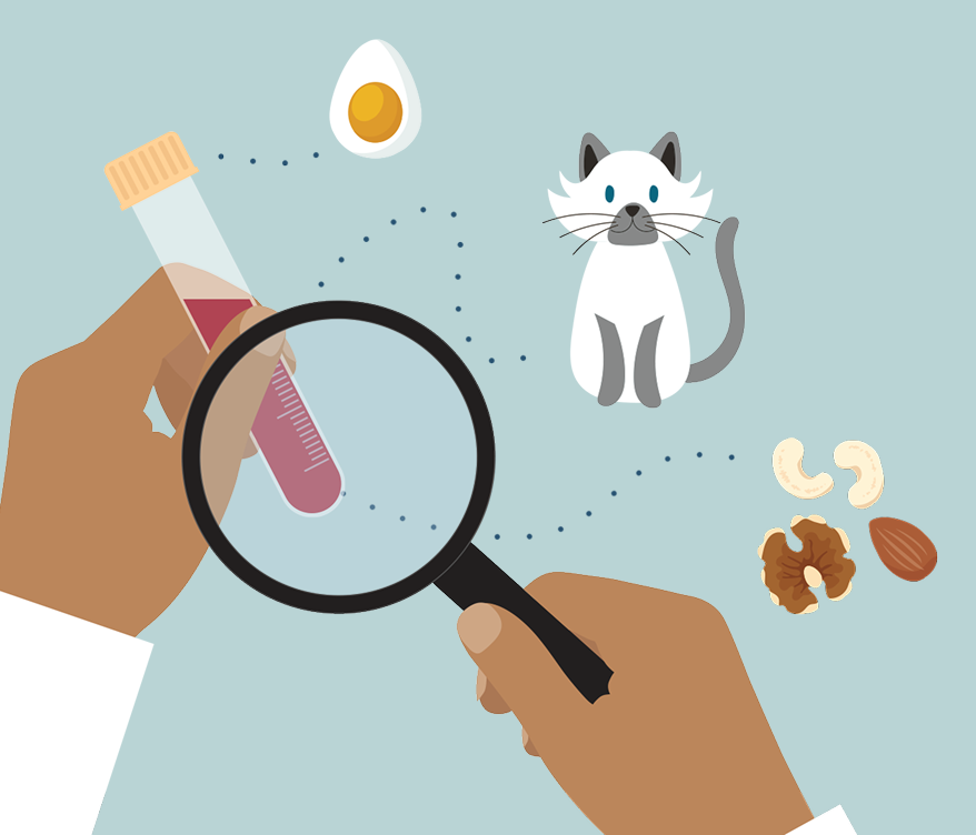 Specific IgE blood tests are used by laboratories to test for indoor allergies
