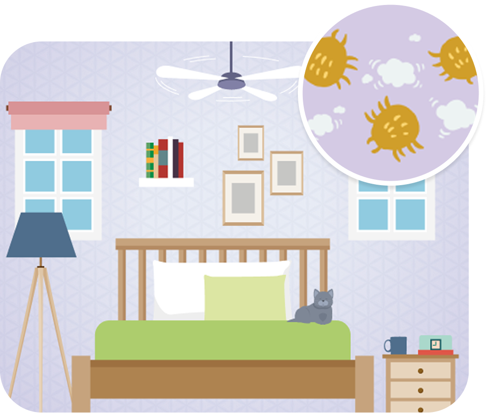 bedroom-dust-mites