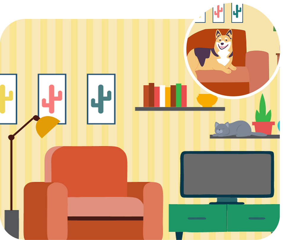 living-room-pet-dander
