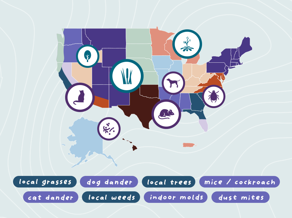 map of the untied states outlining regional allergies