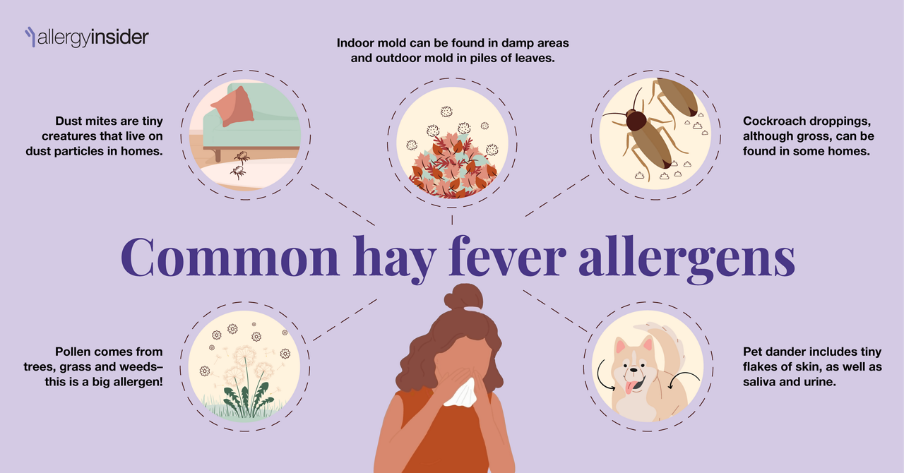 common hay fever allergens