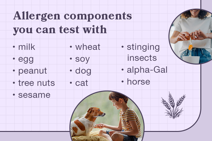 Listicle of allergen components patients can get tests for: milk, egg, peanut, tree nuts, sesame, wheat, soy, dog, cat, stinging insects, alpha-Gal, horse