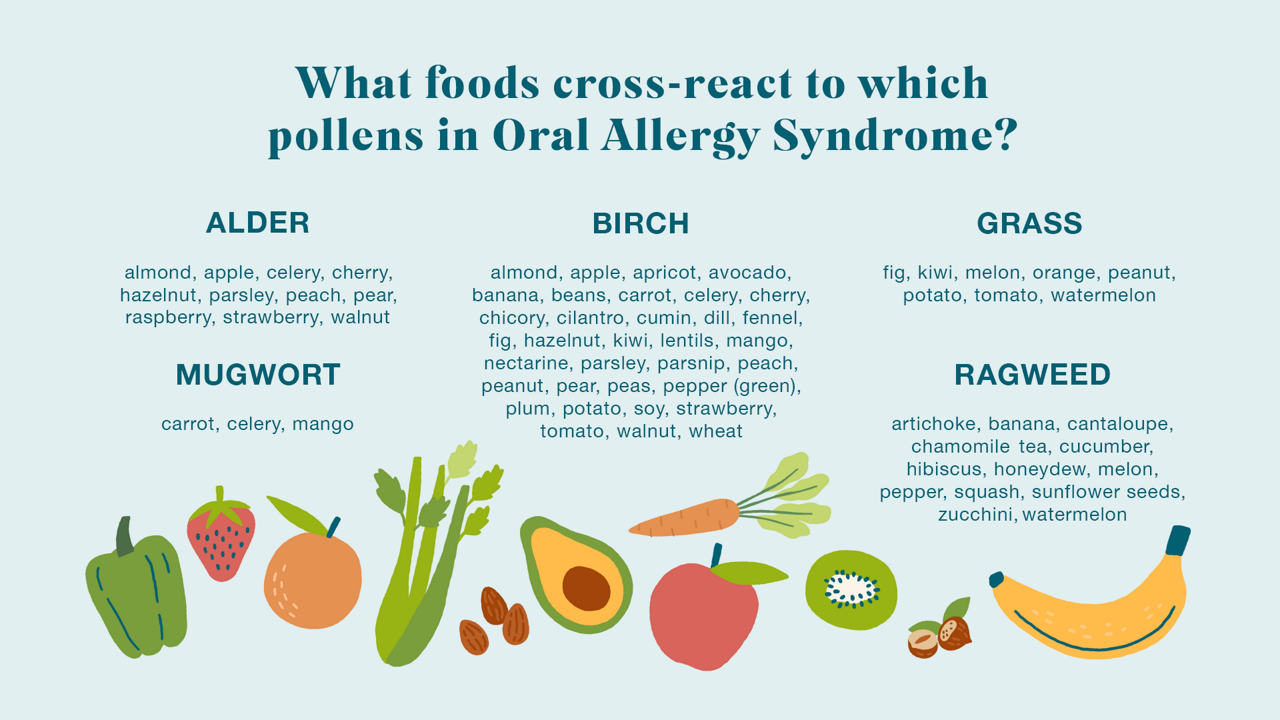 What foods cross-react to which pollens in Oral Allergy Syndrome? Pollens listed: Alder, birch, grass, ragweed, mugwort. 