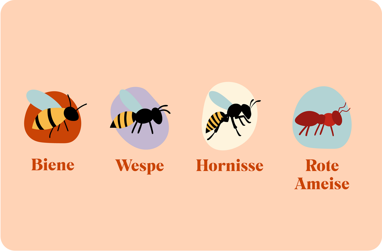 Illustration of bee, wasp, hornet and red ant.