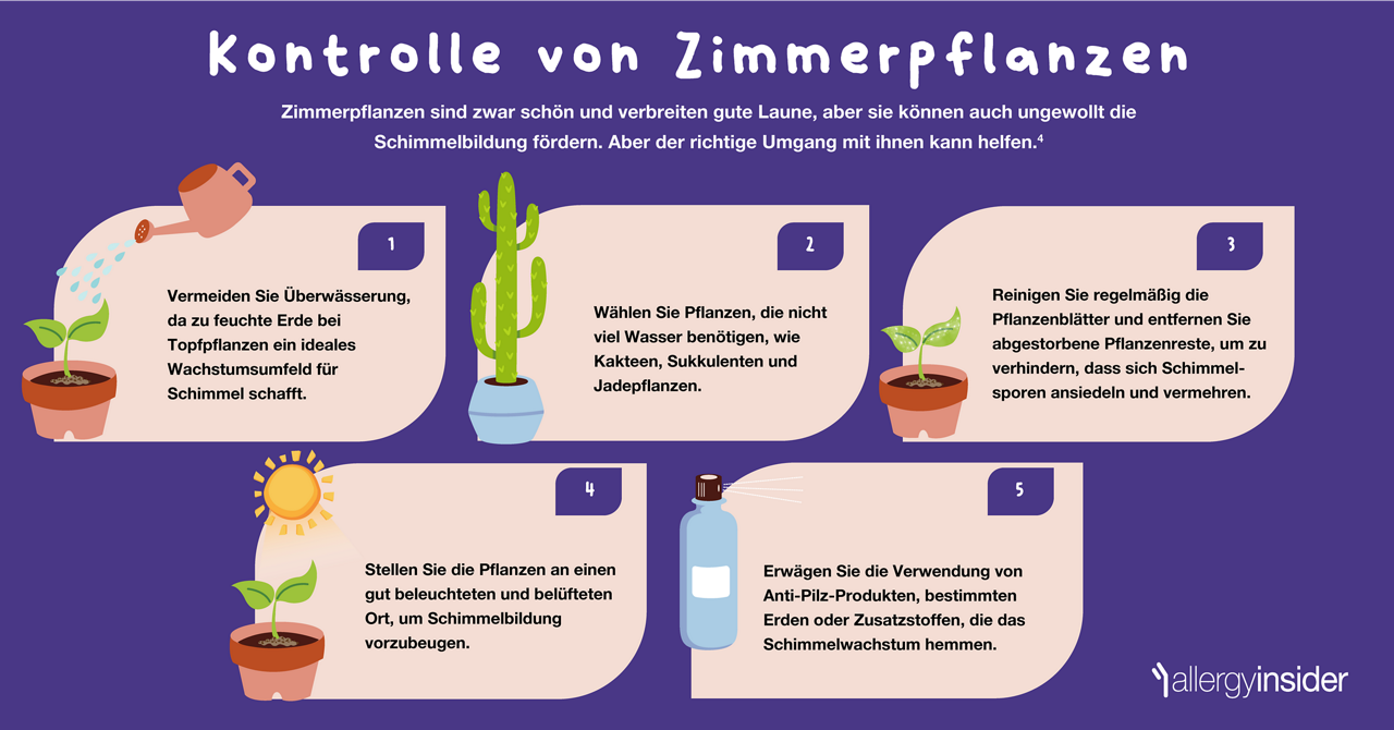 Kontrolle von Zimmerpflanzen