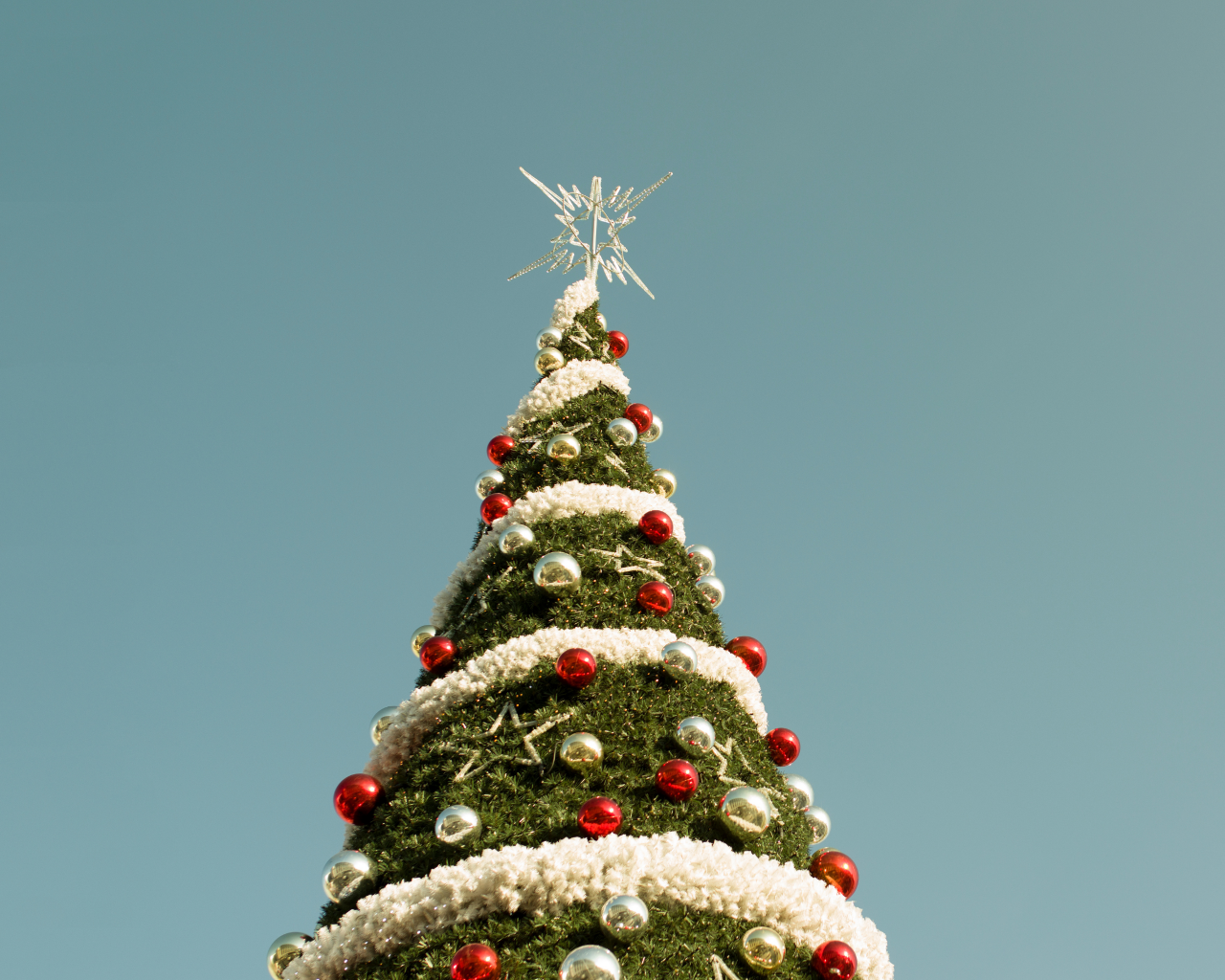 christmas tree