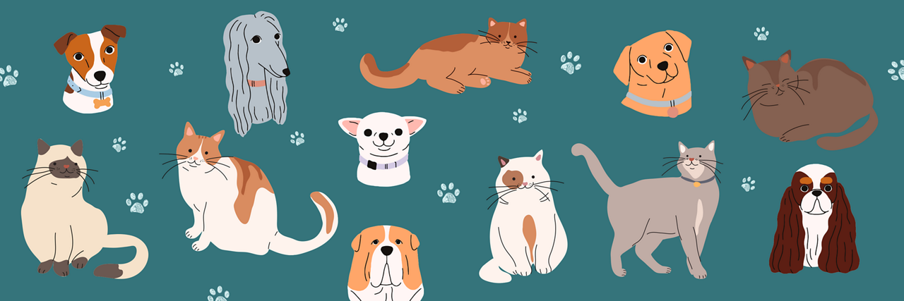Variety of cats and dogs on a green background to demonstrate pet dander allergy.