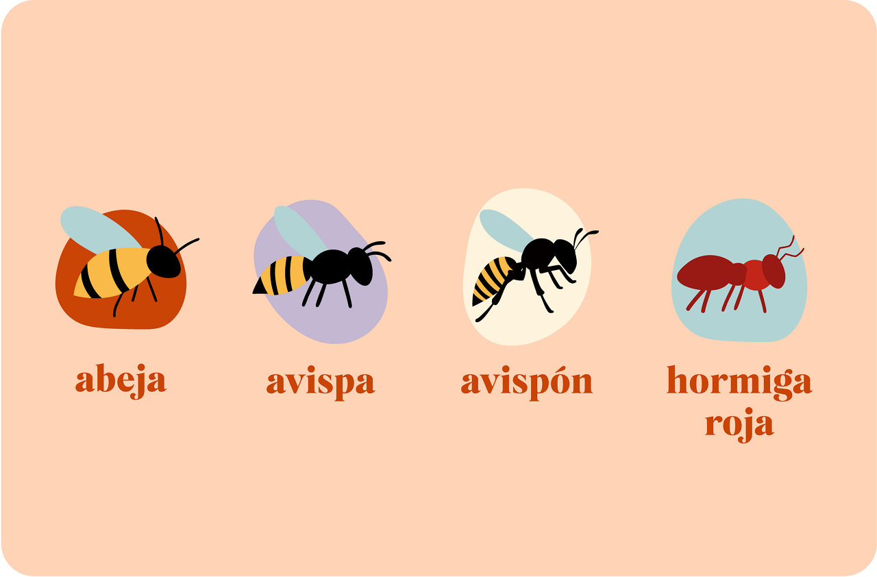 Illustration of bee, wasp, hornet and red ant.