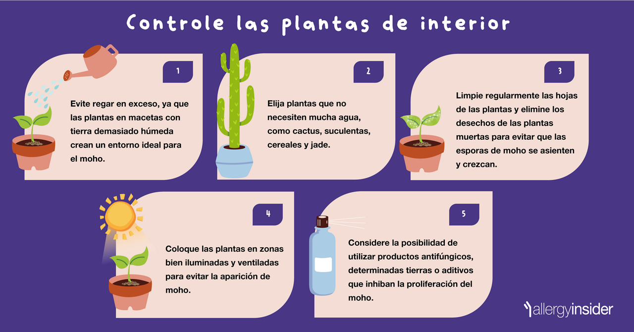 Controle las plantas de interior
