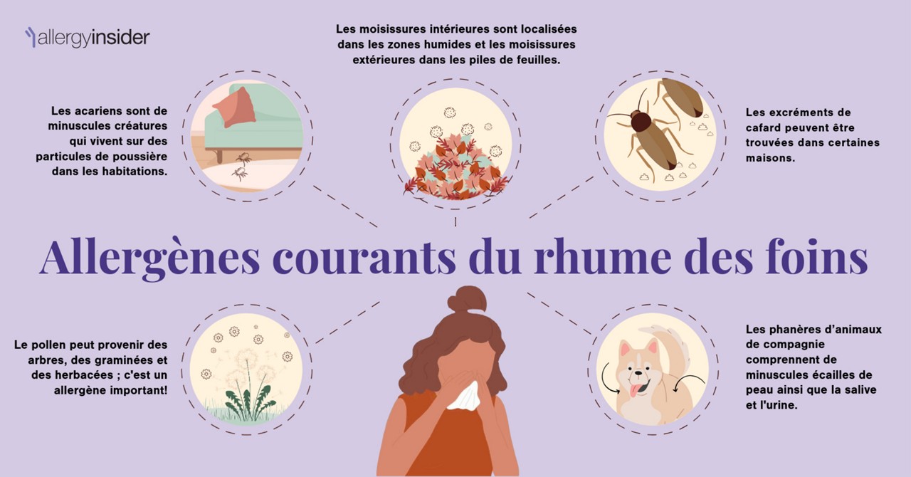 Allergènes courants du rhume des foins