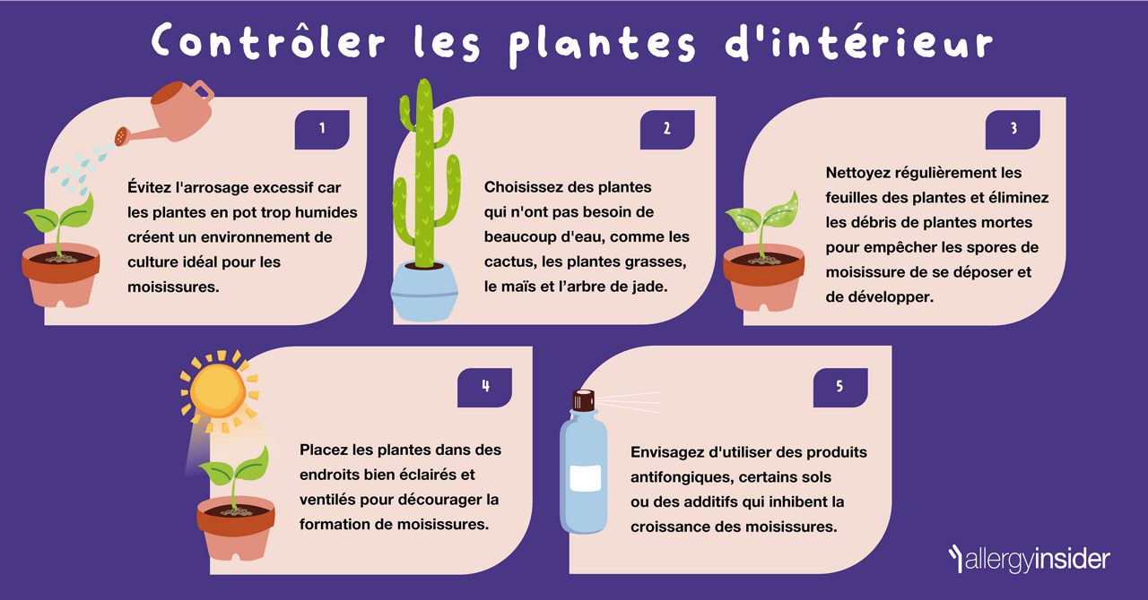 Contrôler les plantes d'intérieur