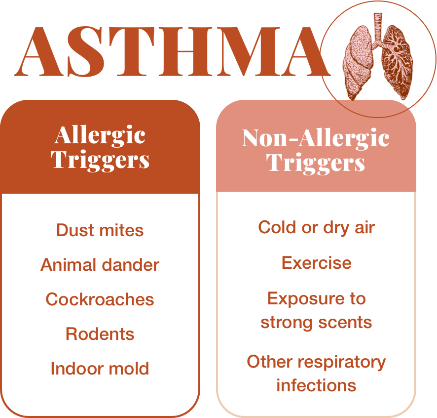 Fattori scatenanti allergici vs. fattori scatenanti non allergici | Asma allergico