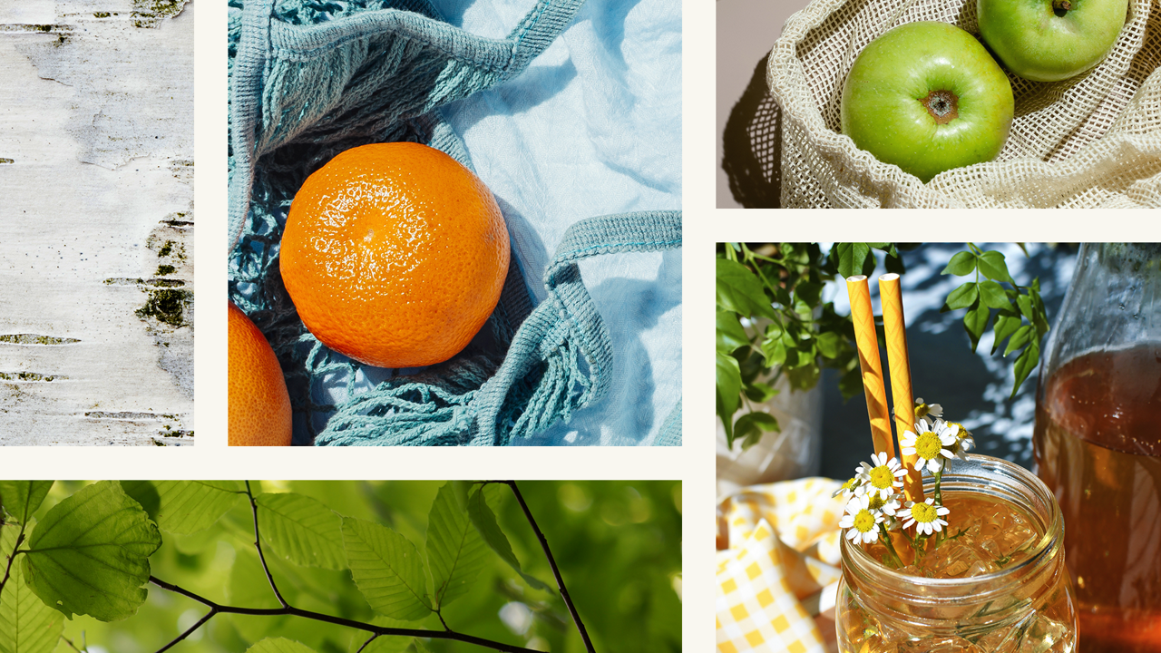 Collage of different foods.