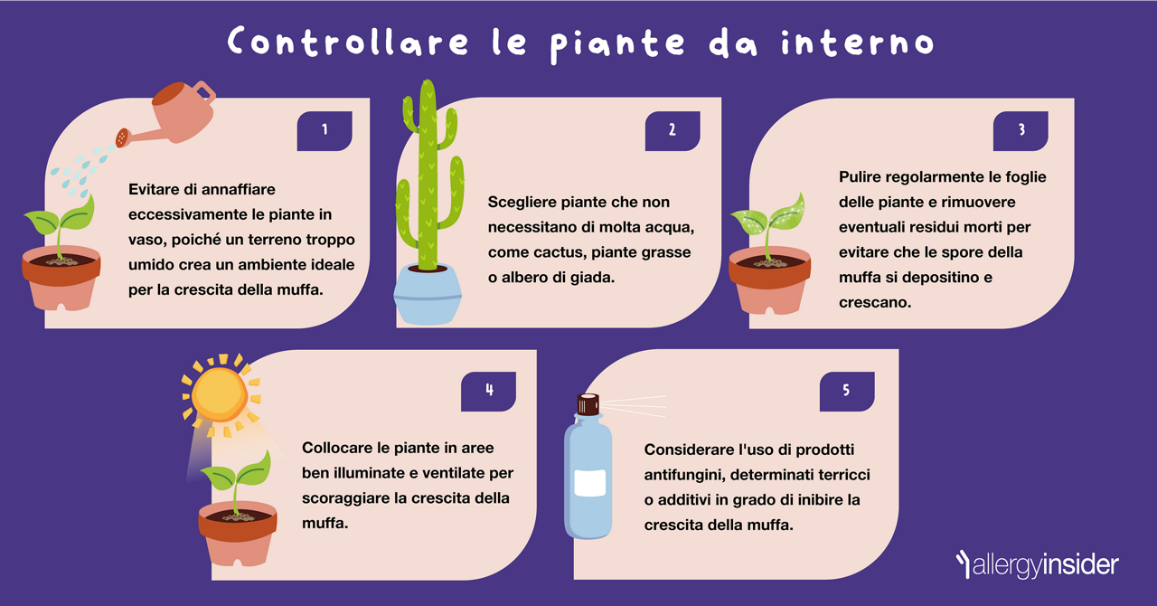 Controllare le piante da interno