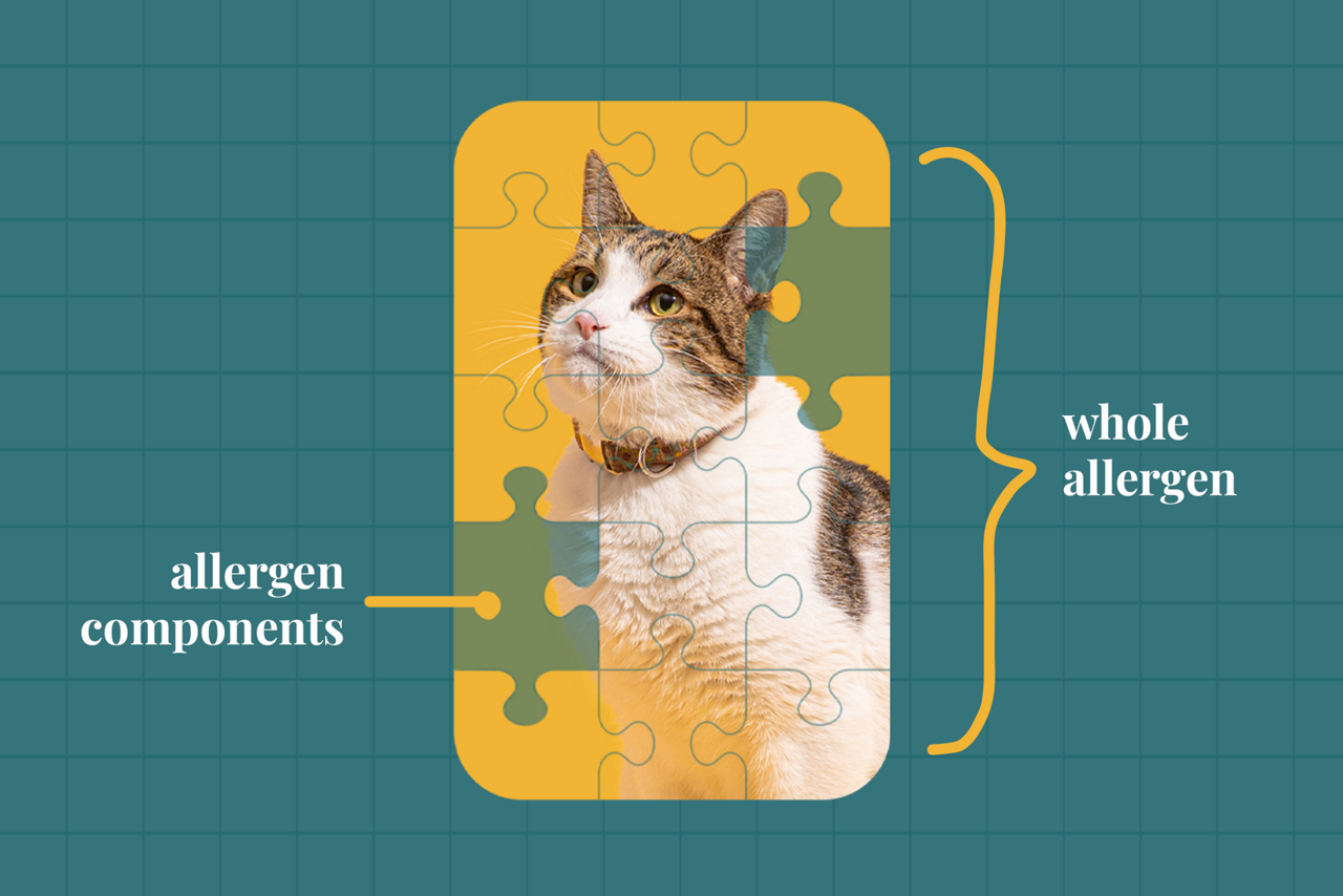 Whole allergen compared to allergen components