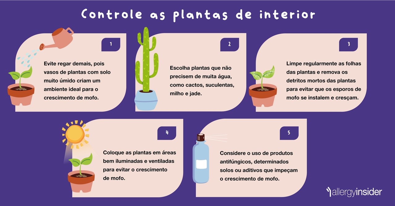 Controle as plantas de interior