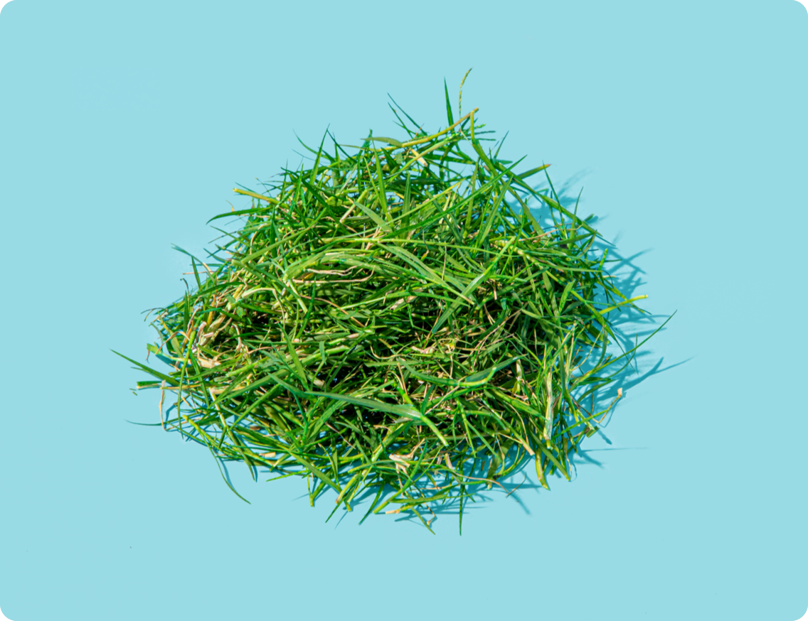 doctor talking to patient