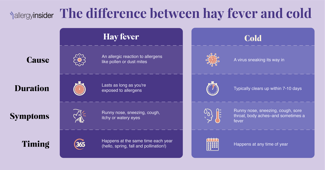 The difference between hay fever and cold