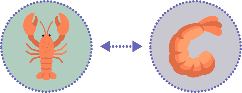 A Lobster and Shrimp Icons representing cross-reactivity between shellfish