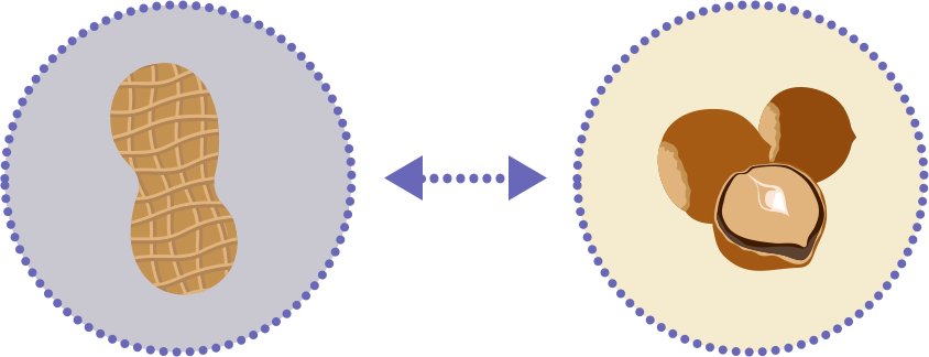 Peanut and Seed Icons Joined By arrow Icon representing cross-reactivity between peanut or treenut and seeds 