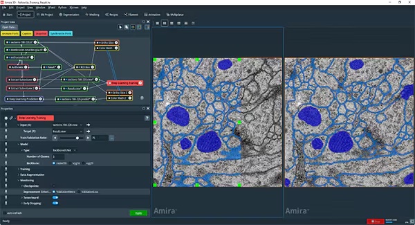 3D Visualization and Analysis Software with AI Acceleration