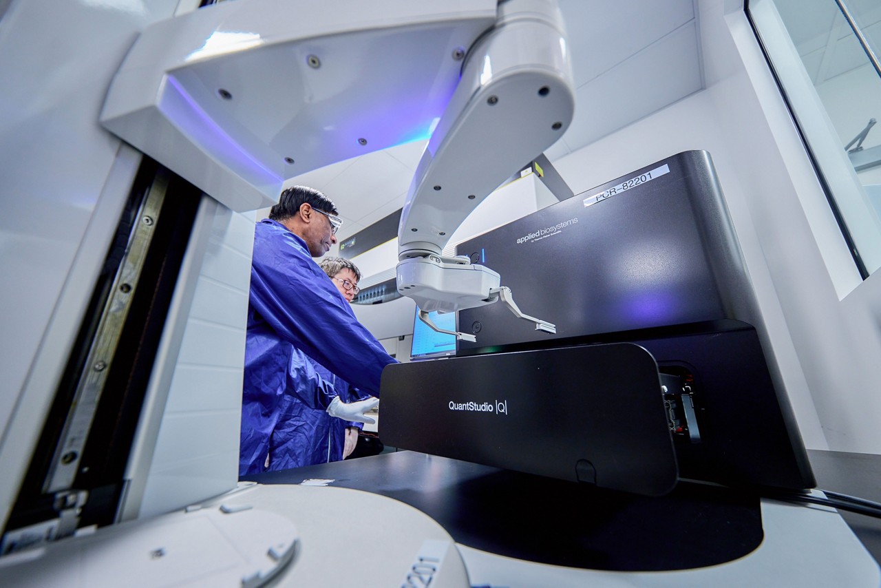 Laboratory Testing Samples Medical Research Analysis
