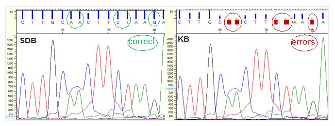 Smart Deep Basecaller (SDB)